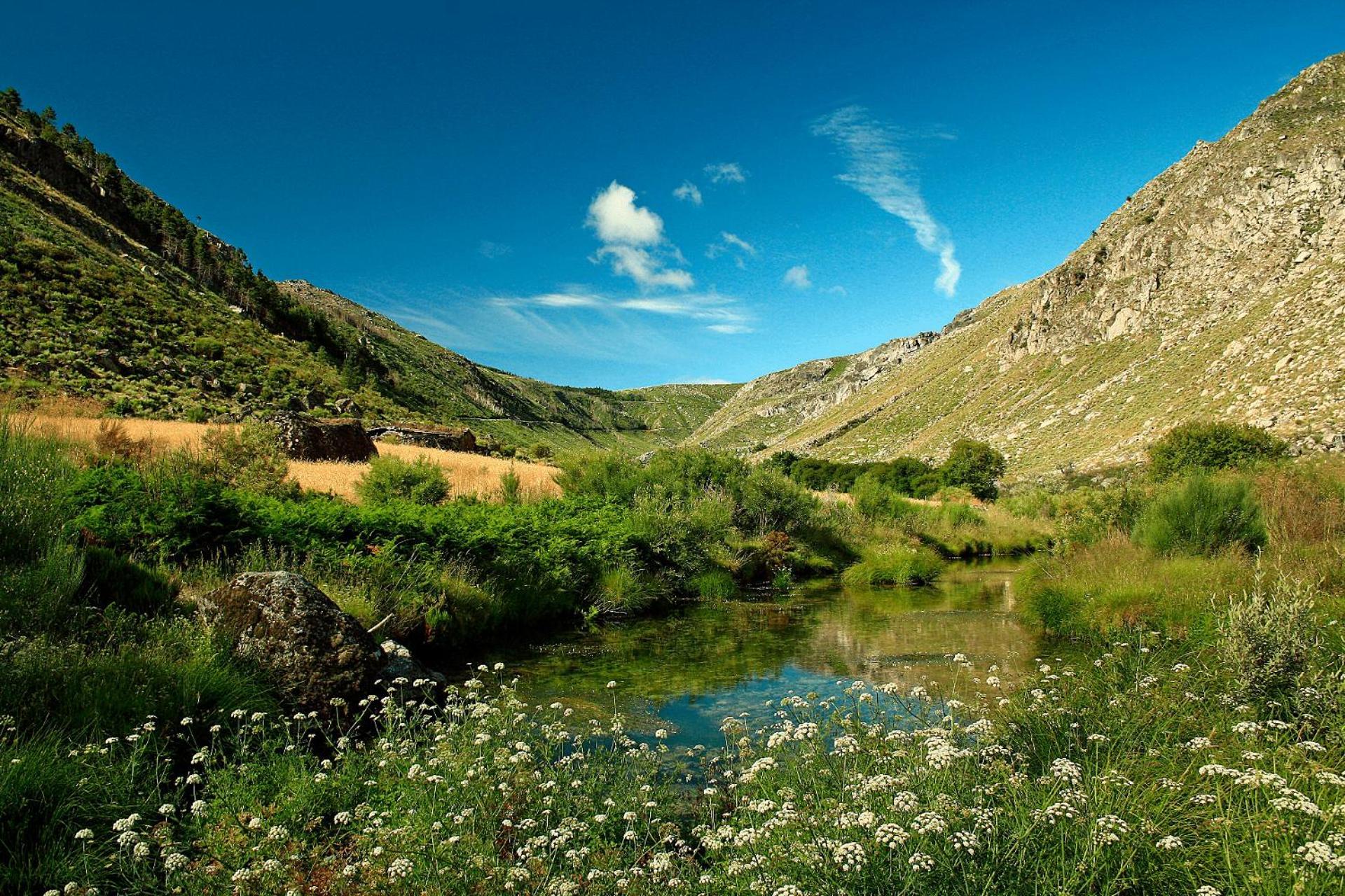 Mountain Lodge T3 Duplex Abrigo Do Lobo Covilhã Dış mekan fotoğraf